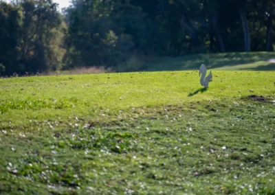 hancock park golf course tx gallery 10
